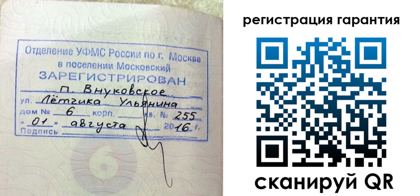 прописка штамп в Ельне